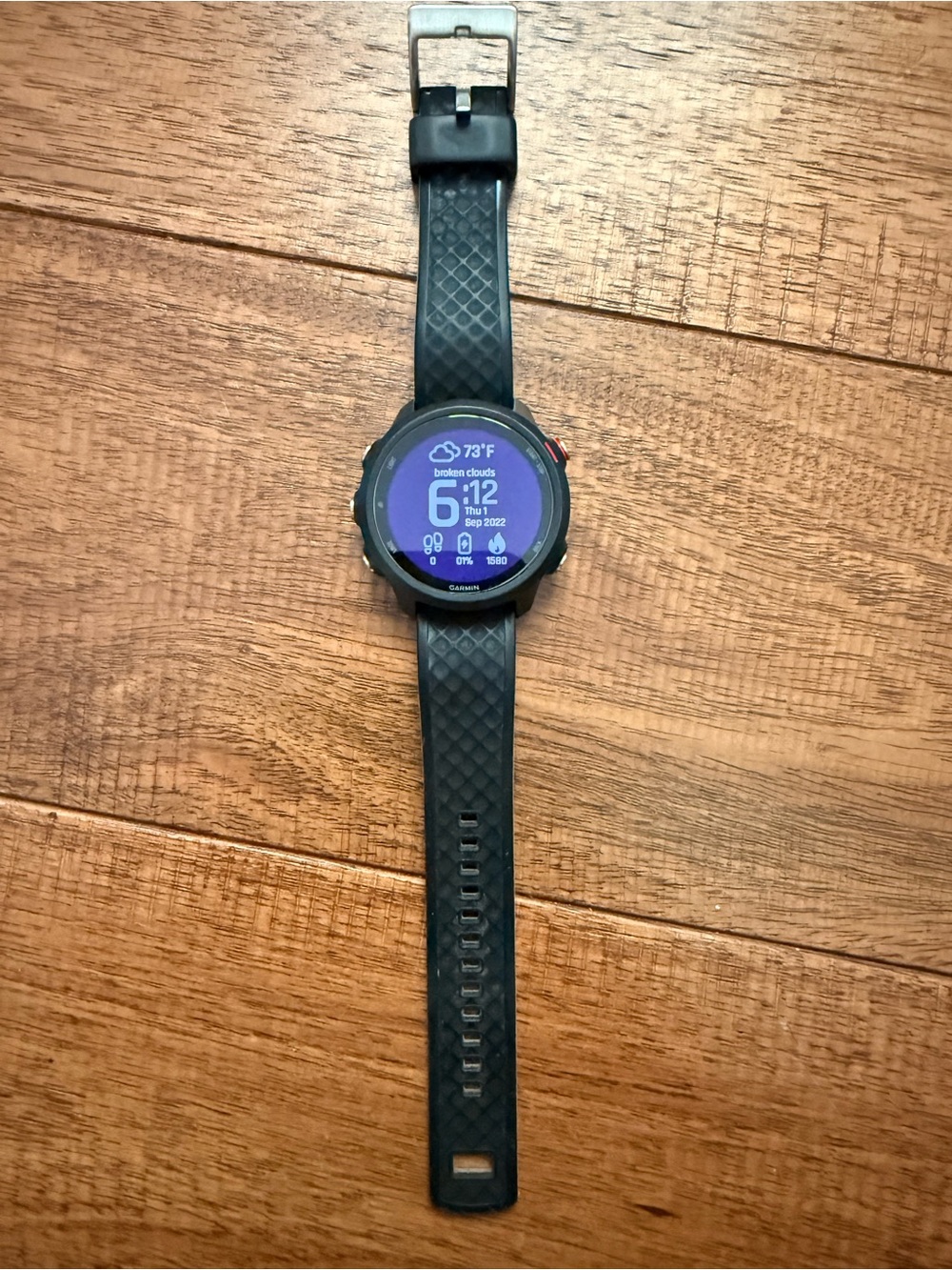 garmin Black Sport GPS Smartwatch with Color Display